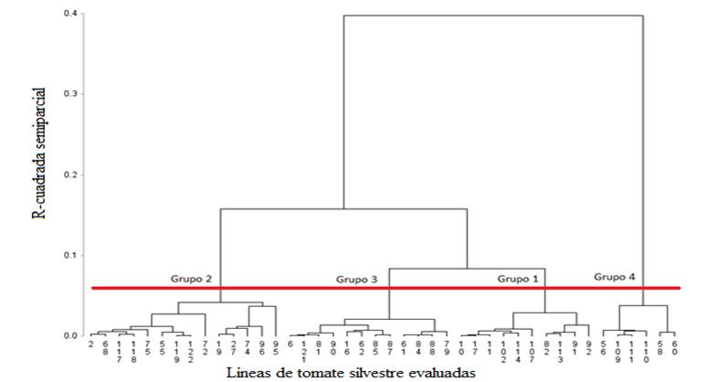 Gráfico, Gráfico de cajas y bigotes
Descripción generada automáticamente