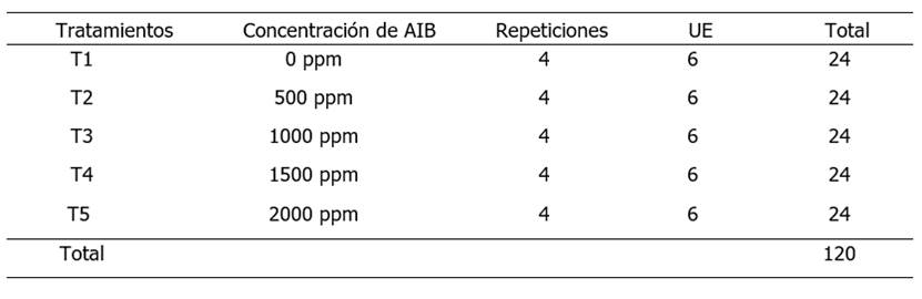 Tabla

Descripción generada automáticamente