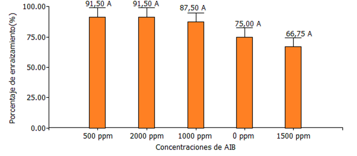 Interfaz de usuario gráfica, Aplicación, Tabla, Excel

Descripción generada automáticamente