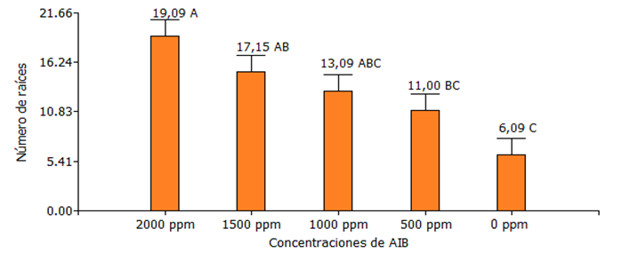 Interfaz de usuario gráfica, Aplicación, Tabla, Excel

Descripción generada automáticamente