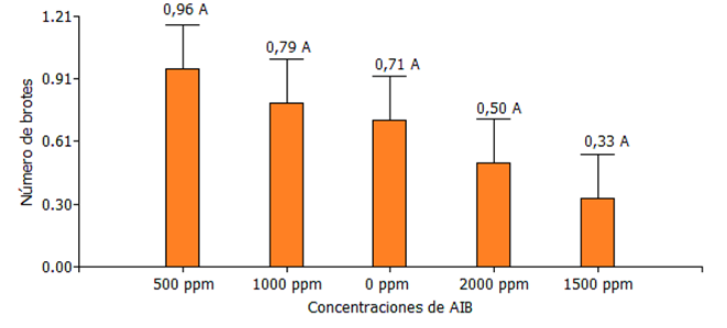 Interfaz de usuario gráfica, Gráfico, Aplicación

Descripción generada automáticamente