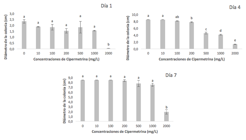 Gráfico, Gráfico en cascada
Descripción generada automáticamente