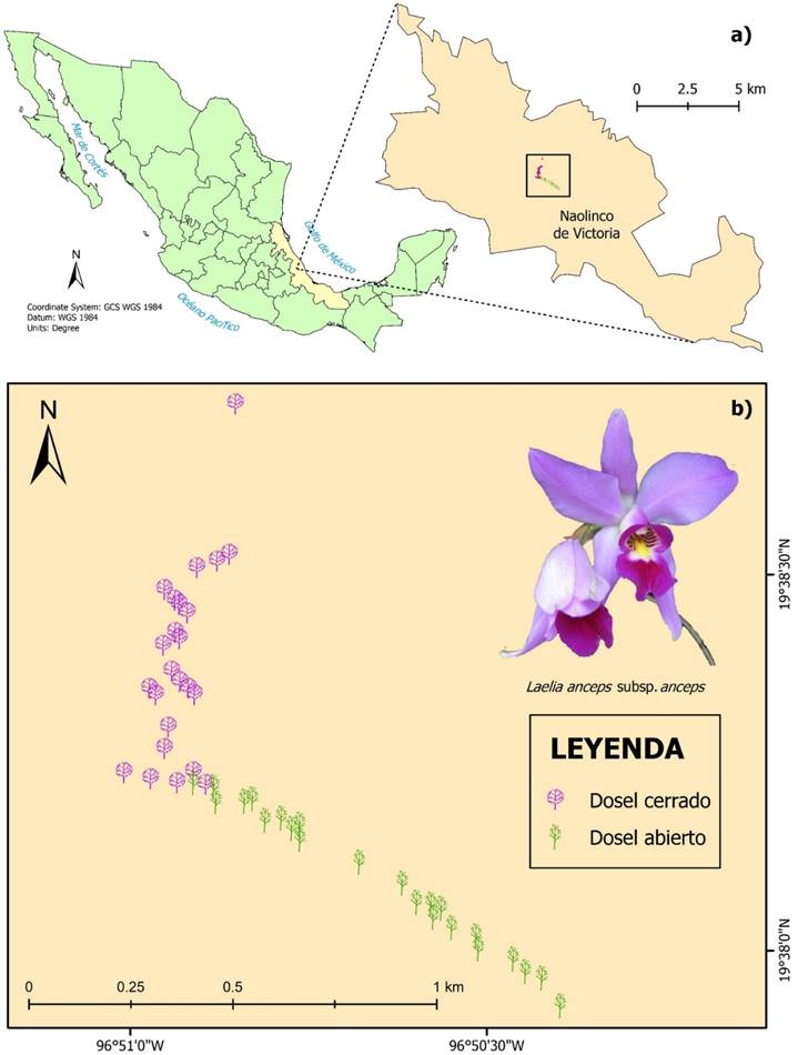 Mapa
Descripción generada automáticamente