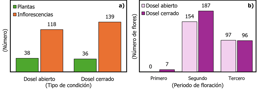 Gráfico, Gráfico de barras
Descripción generada automáticamente